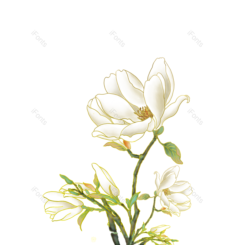 花朵图片,鲜花元素,卡通花朵PNG,花朵素材免抠素材